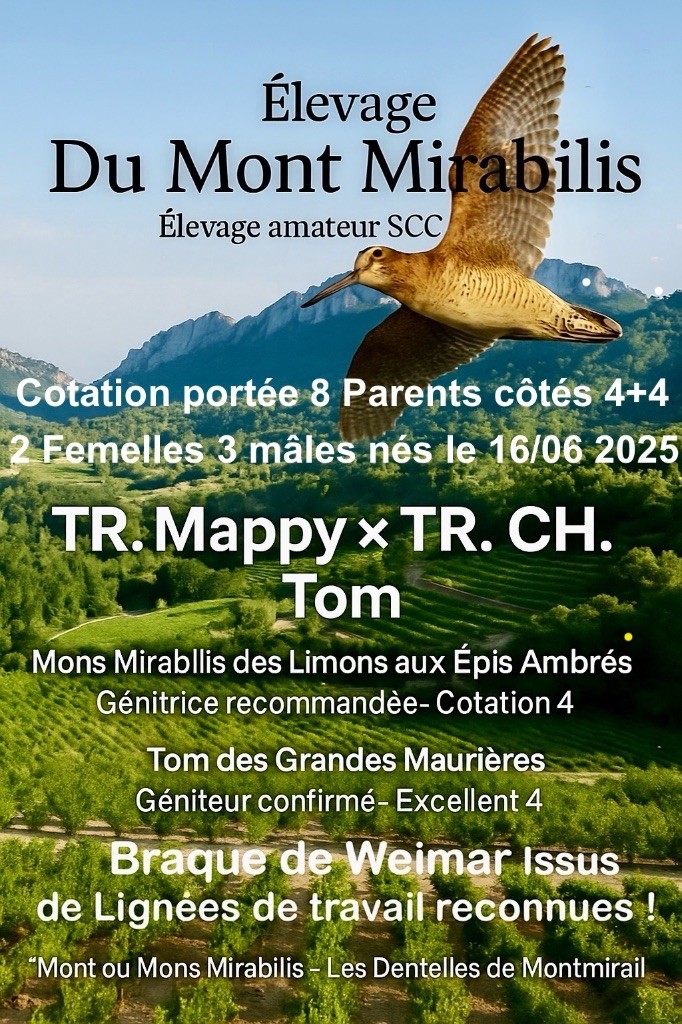 Ils sont nés !